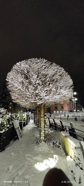 Plac Kazimierza Jagiellończyka